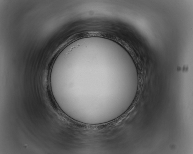 X0000102460194200808080953
