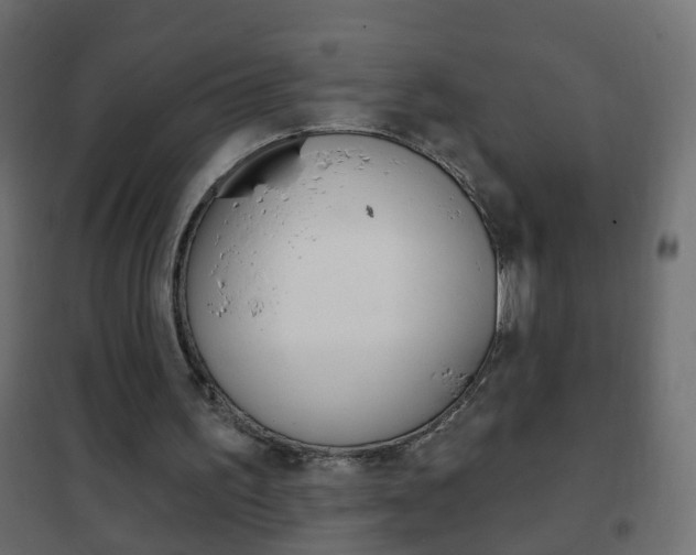 X0000102460195200808080953
