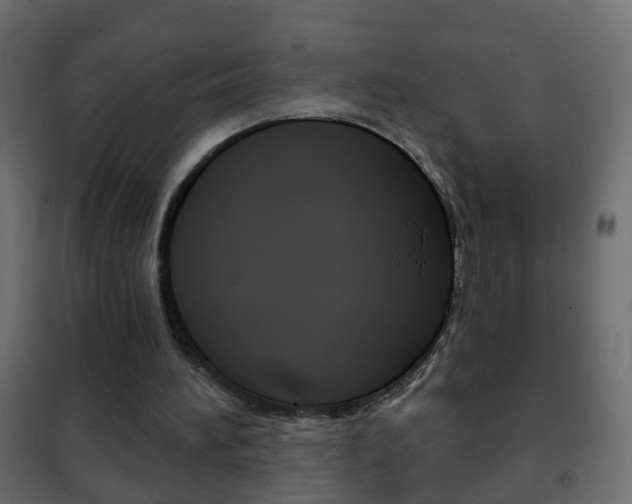 X0000102460196200808080953