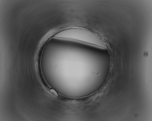 X0000102460197200808080953