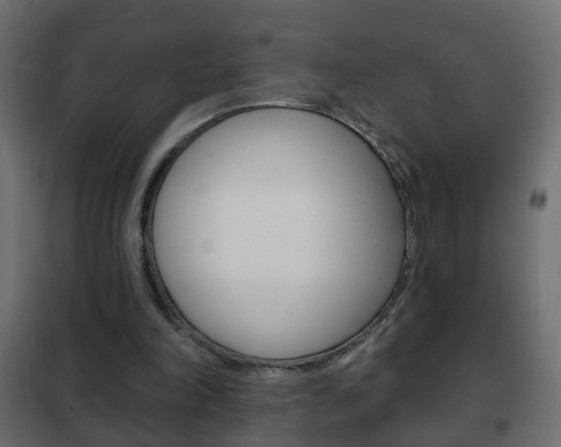 X0000102460198200808080953