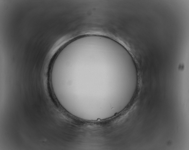 X0000102460199200808080953