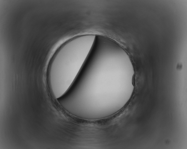 X0000102460200200808080953