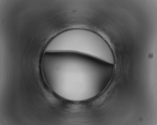 X0000102460201200808080953