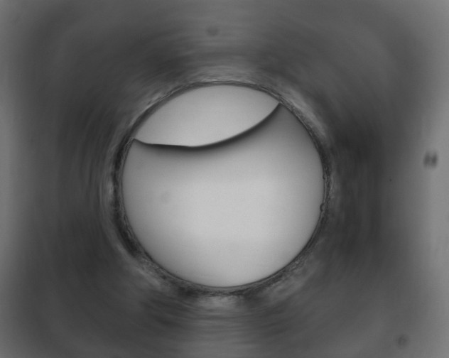 X0000102460202200808080953