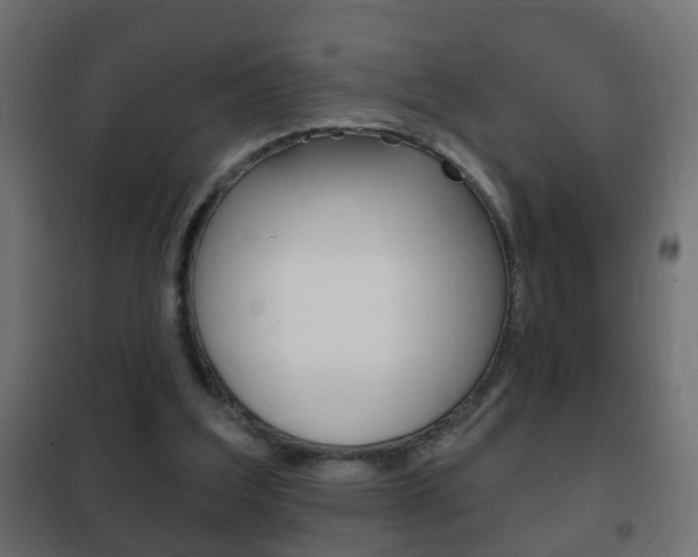 X0000102460203200808080953
