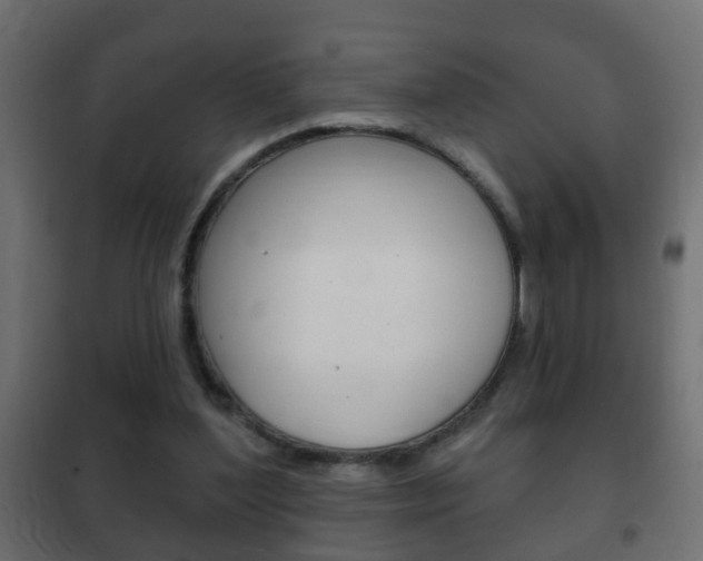 X0000102460204200808080953