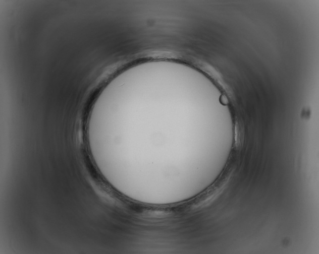 X0000102460205200808080953