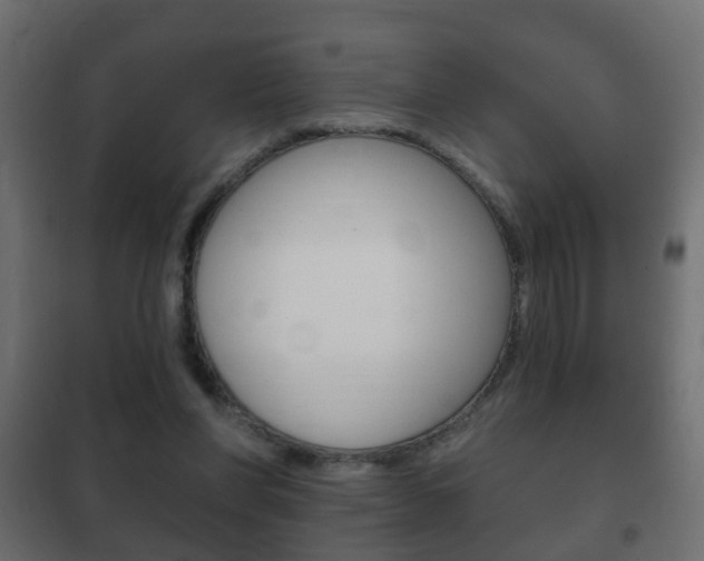 X0000102460206200808080953