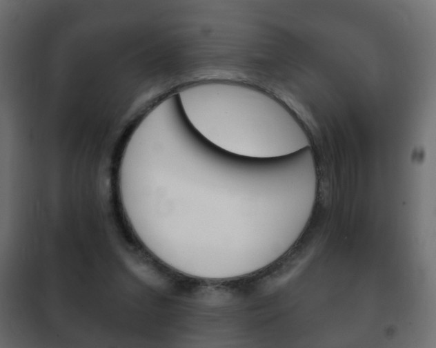 X0000102460207200808080953