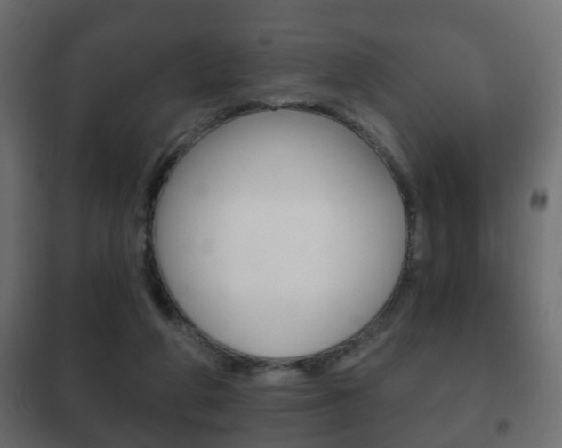 X0000102460210200808080953