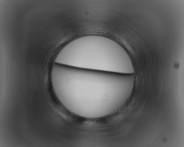 X0000102460211200808080953