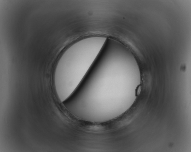 X0000102460212200808080953