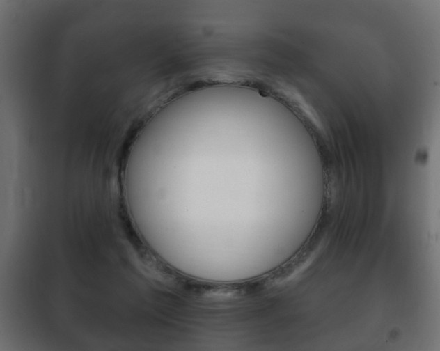 X0000102460213200808080953