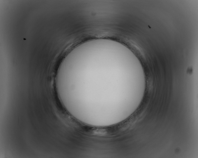 X0000102460214200808080953