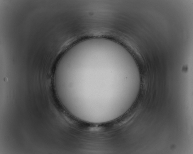 X0000102460216200808080953