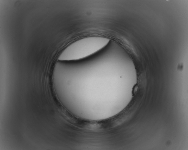 X0000102460217200808080953