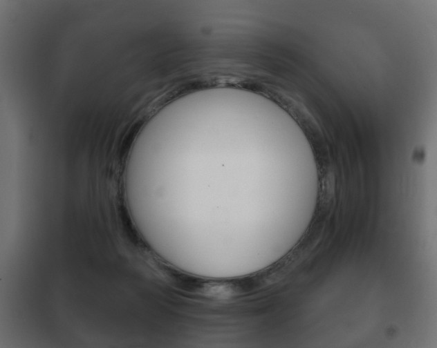 X0000102460218200808080953