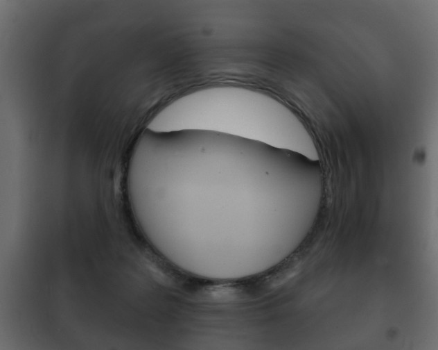 X0000102460219200808080953