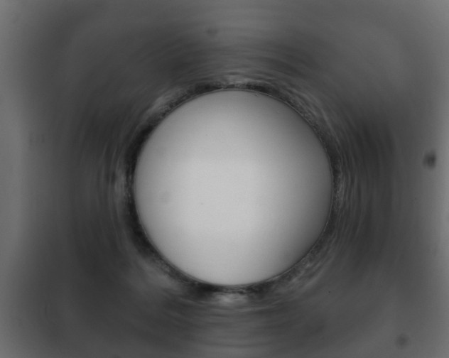 X0000102460220200808080953