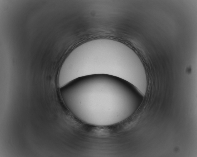 X0000102460221200808080953