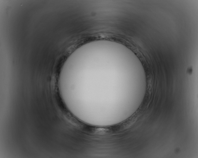 X0000102460222200808080953