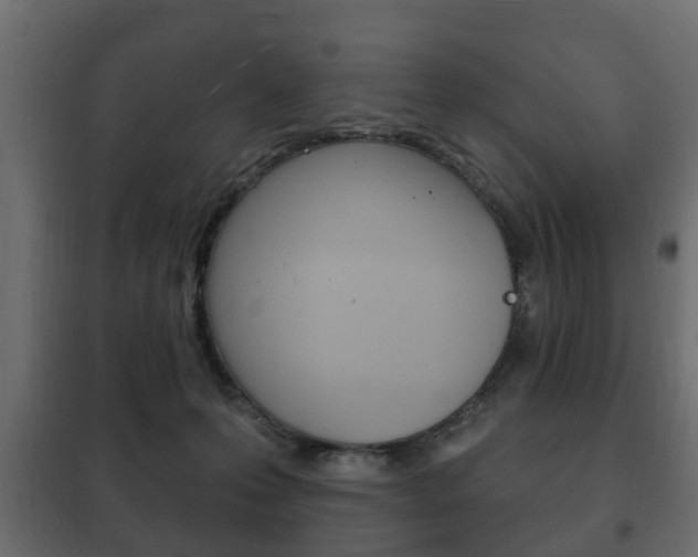 X0000102460223200808080953