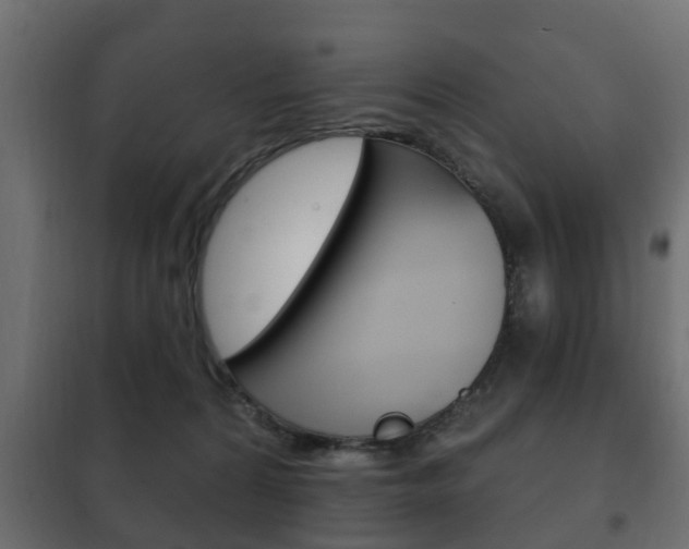 X0000102460224200808080953