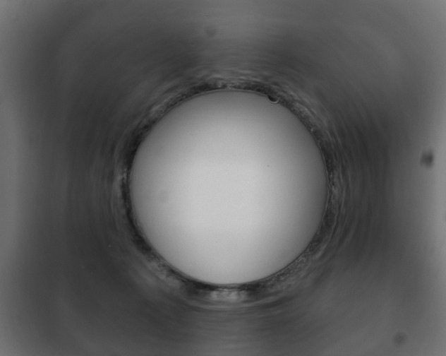 X0000102460225200808080953