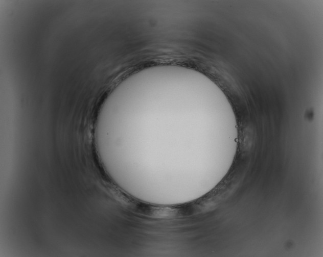 X0000102460226200808080953
