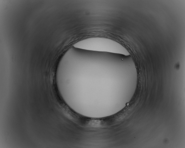 X0000102460227200808080953