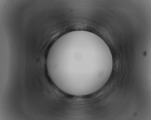 X0000102460228200808080953