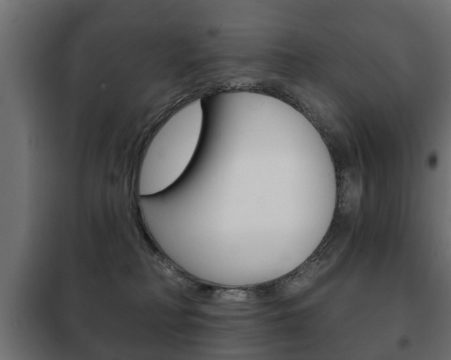X0000102460230200808080953
