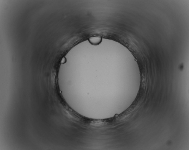 X0000102460231200808080953