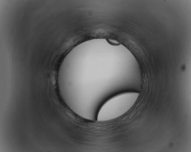 X0000102460232200808080953