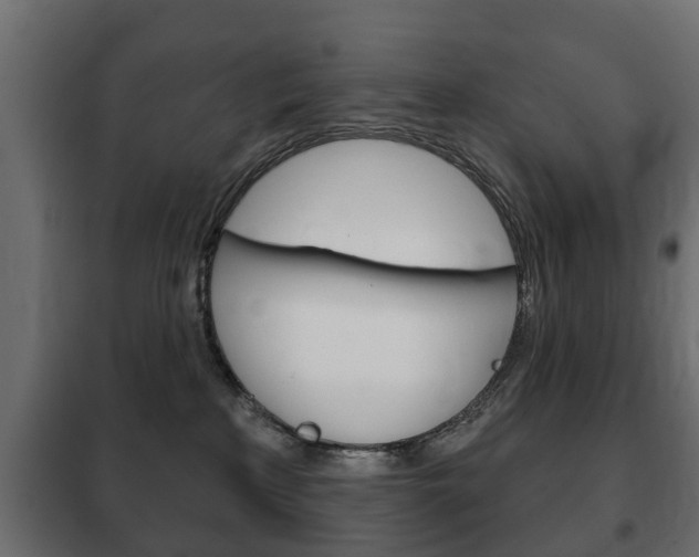 X0000102460233200808080952