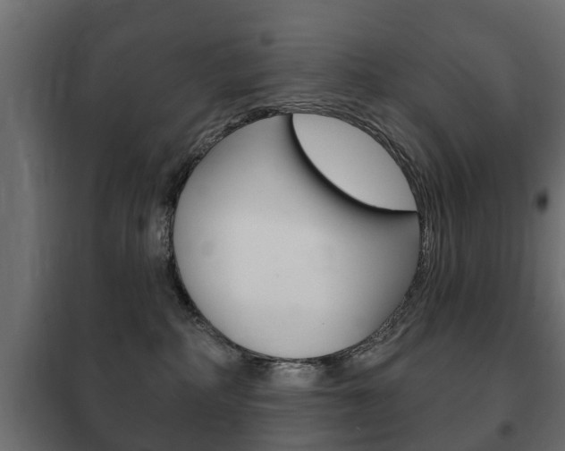 X0000102460234200808080952