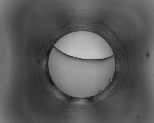 X0000102460235200808080952