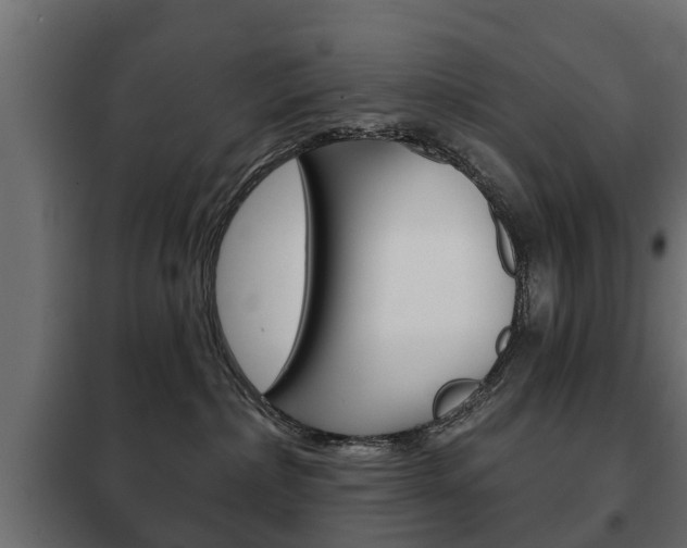X0000102460236200808080952
