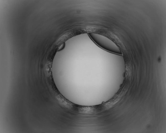 X0000102460237200808080952