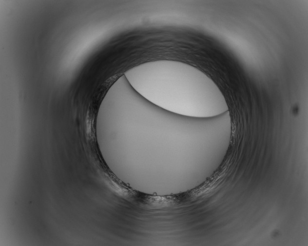 X0000102460239200808080952