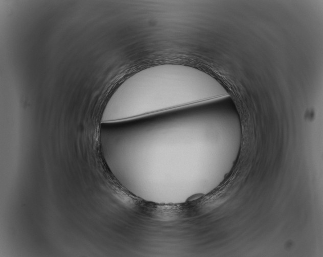 X0000102460240200808080952