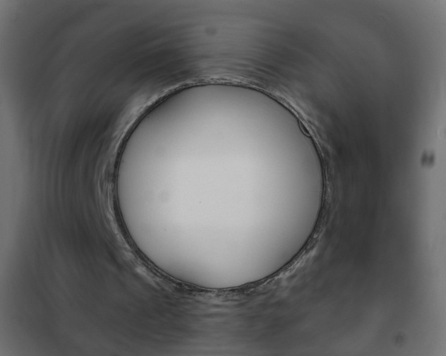 X0000102460241200808080952