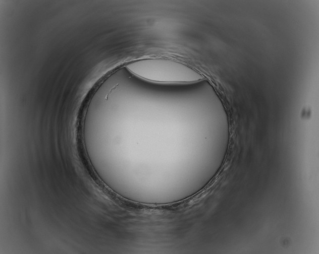 X0000102460242200808080952