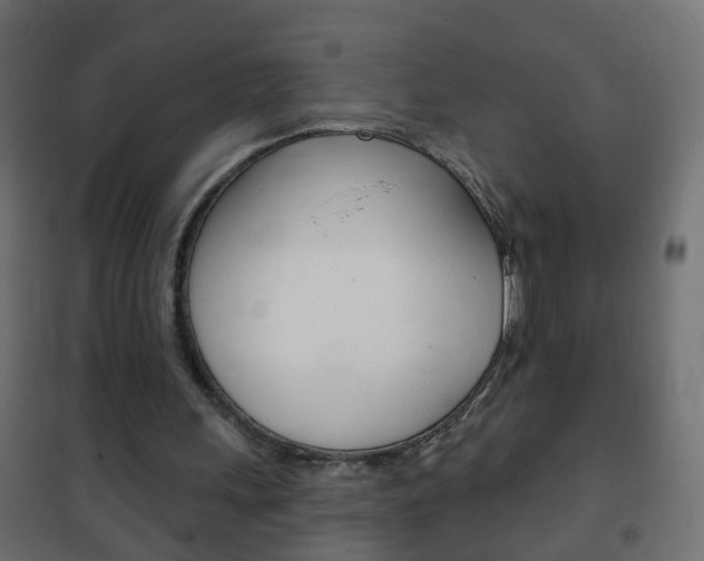 X0000102460243200808080952