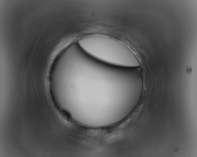X0000102460245200808080952