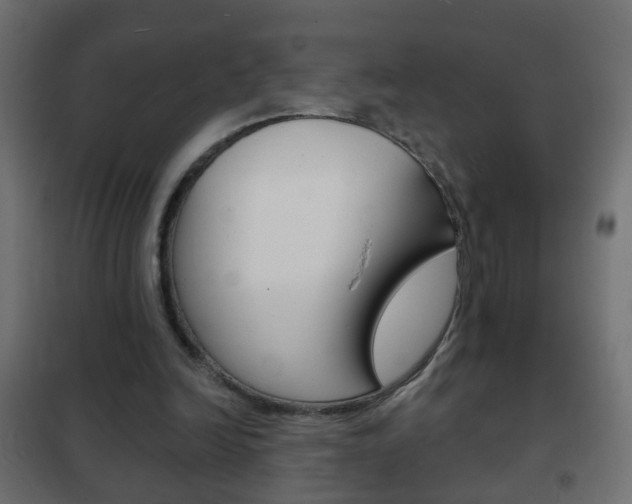 X0000102460246200808080952