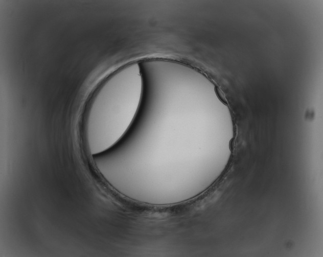 X0000102460247200808080952