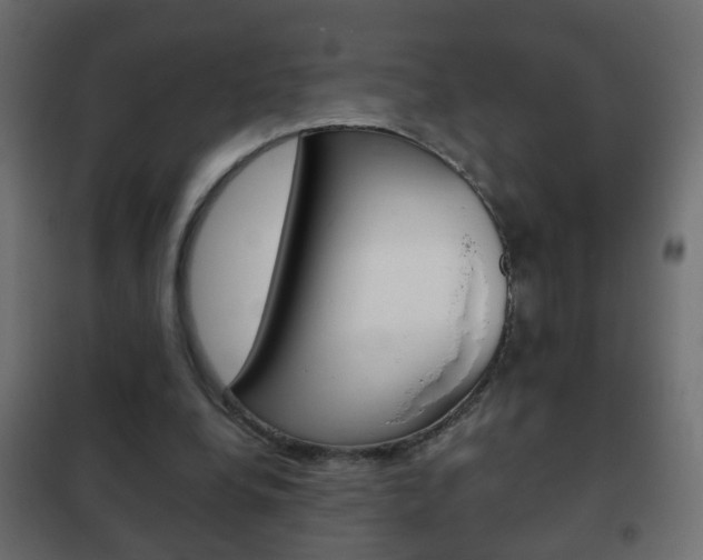 X0000102460248200808080952