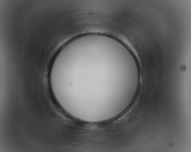 X0000102460249200808080952
